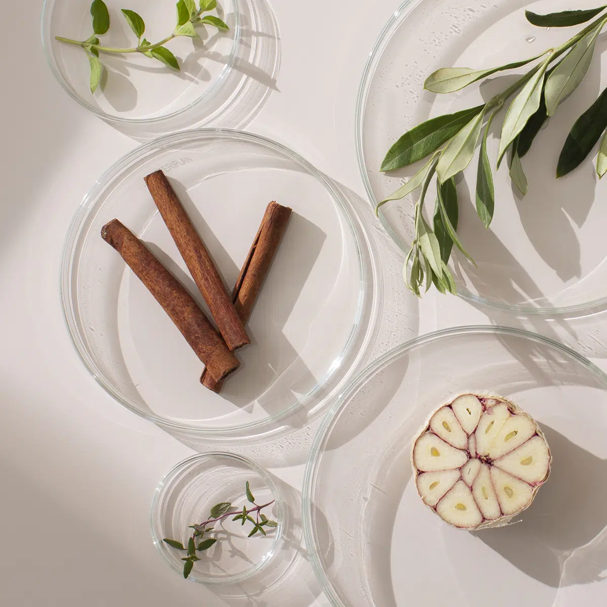 Cinnamon sticks, garlic and fresh herbs arranged in glass dishes on a light background.