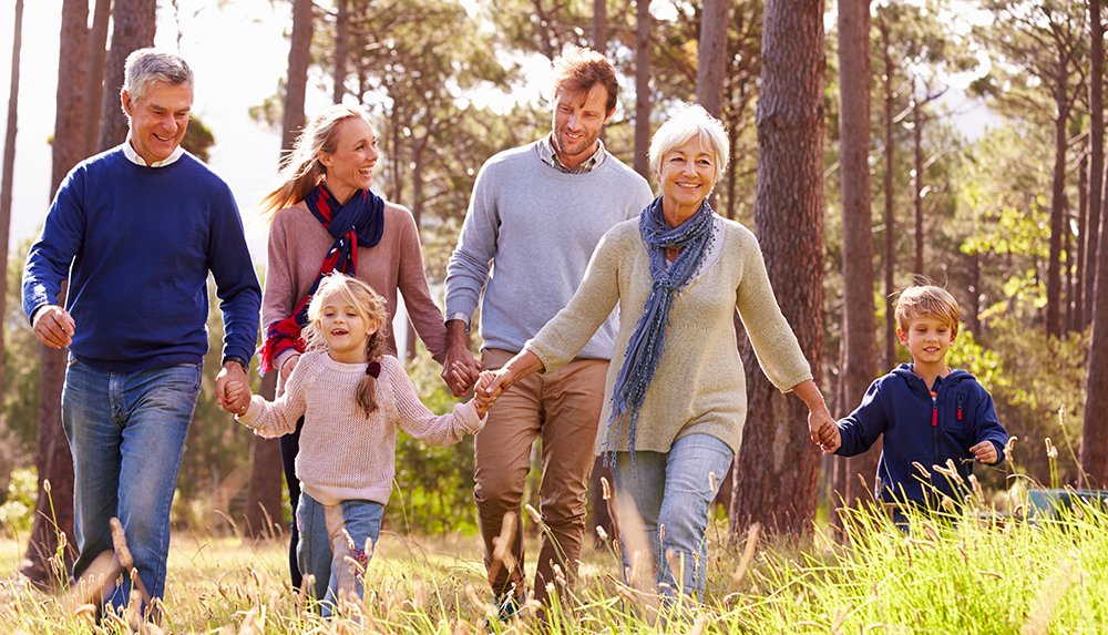 a group of people holding hands and walking in a forest