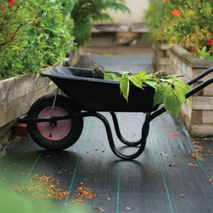 Herbal Schools 38 Wheelbarrow with plants.